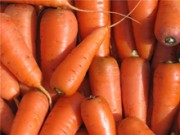 Морковь оптом –  вкусный и полезный корнеплод