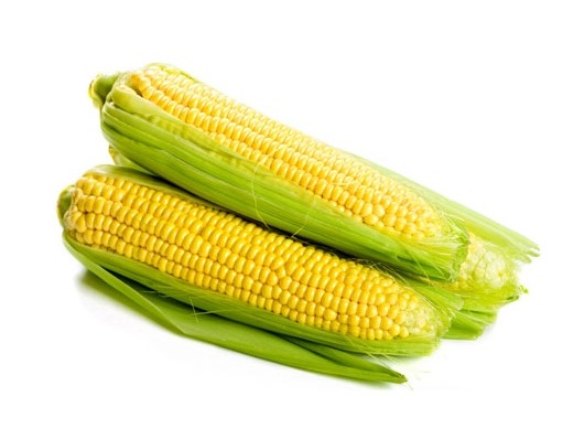 Продажа молодой кукурузы оптом | Фрукт96
